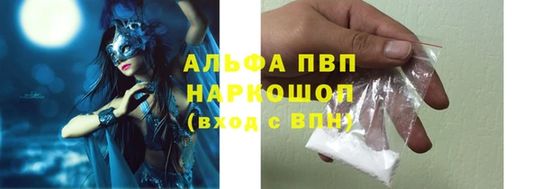 СК Иннополис