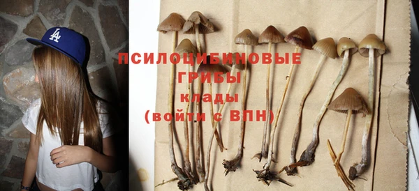 mdma Инсар