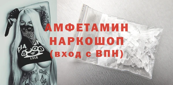 тгк Инта