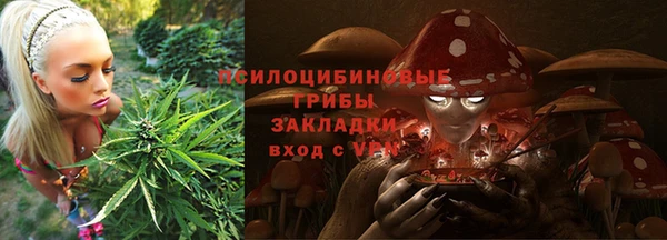 СК Иннополис
