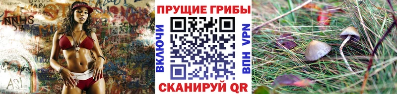 Галлюциногенные грибы Psilocybine cubensis  Купить  Ипатово 